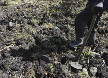Kenya Dying Soils
